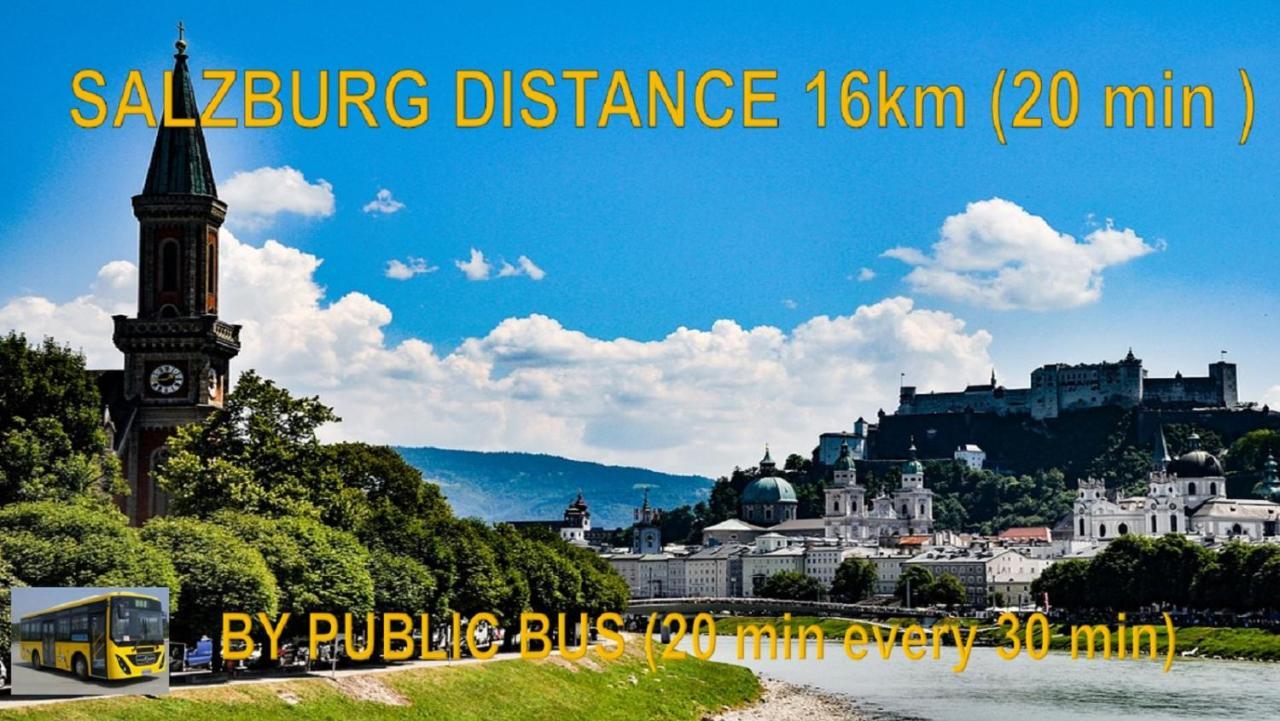 Ferienwohnung Nahe Fuschlsee, Hof Bei Salzburg Exterior photo